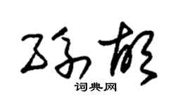 朱锡荣孙胡草书个性签名怎么写