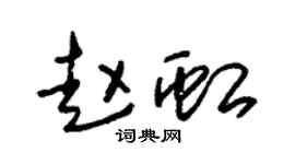 朱锡荣赵虹草书个性签名怎么写