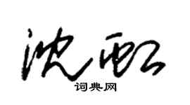 朱锡荣沈虹草书个性签名怎么写