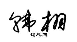 朱锡荣韩栩草书个性签名怎么写