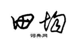 朱锡荣田均草书个性签名怎么写