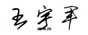 朱锡荣王宇军草书个性签名怎么写