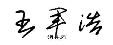 朱锡荣王军浩草书个性签名怎么写