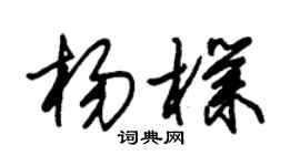 朱锡荣杨朴草书个性签名怎么写