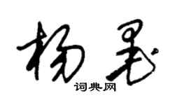 朱锡荣杨墨草书个性签名怎么写