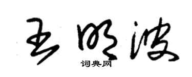 朱锡荣王明波草书个性签名怎么写