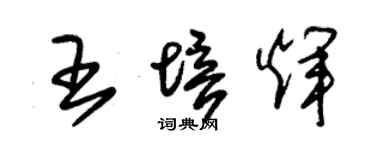 朱锡荣王培辉草书个性签名怎么写