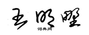 朱锡荣王明野草书个性签名怎么写