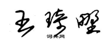 朱锡荣王琦野草书个性签名怎么写