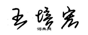 朱锡荣王培宏草书个性签名怎么写