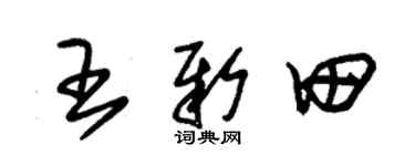 朱锡荣王新田草书个性签名怎么写