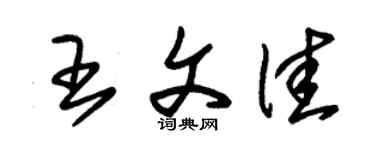 朱锡荣王文佳草书个性签名怎么写