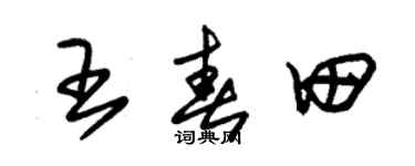 朱锡荣王春田草书个性签名怎么写