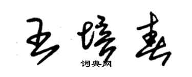 朱锡荣王培春草书个性签名怎么写