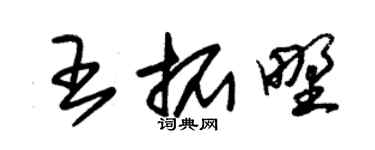 朱锡荣王拓野草书个性签名怎么写