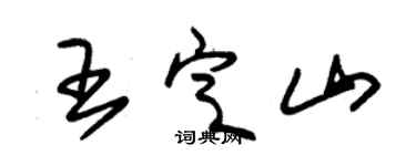 朱锡荣王定山草书个性签名怎么写