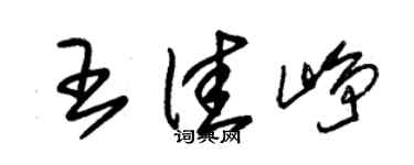 朱锡荣王佳峥草书个性签名怎么写