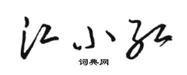 骆恒光江小红草书个性签名怎么写