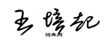 朱锡荣王培起草书个性签名怎么写