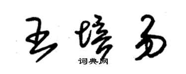 朱锡荣王培易草书个性签名怎么写