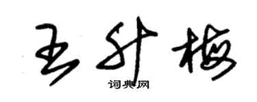 朱锡荣王升梅草书个性签名怎么写