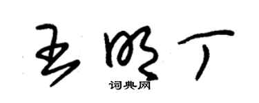 朱锡荣王明丁草书个性签名怎么写