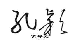 骆恒光孔颖草书个性签名怎么写