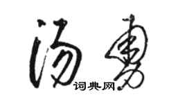 骆恒光汤勇草书个性签名怎么写