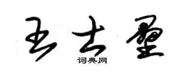 朱锡荣王士垒草书个性签名怎么写