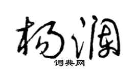 曾庆福杨澜草书个性签名怎么写