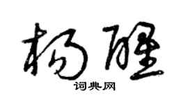 曾庆福杨醒草书个性签名怎么写