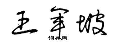 曾庆福王军坡草书个性签名怎么写