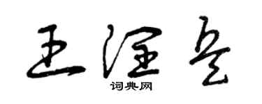 曾庆福王润兵草书个性签名怎么写