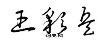 曾庆福王彩兵草书个性签名怎么写