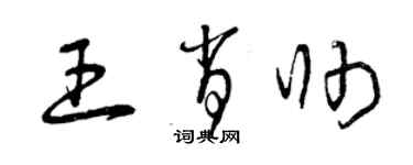 曾庆福王肖帅草书个性签名怎么写