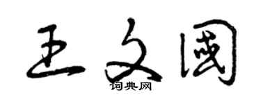 曾庆福王文国草书个性签名怎么写