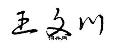 曾庆福王文川草书个性签名怎么写