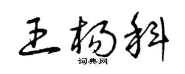 曾庆福王杨科草书个性签名怎么写