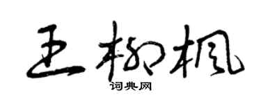 曾庆福王柳枫草书个性签名怎么写