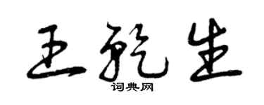 曾庆福王乾生草书个性签名怎么写