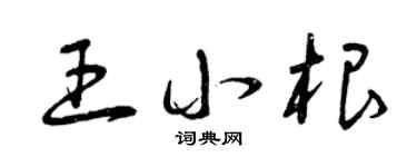 曾庆福王小根草书个性签名怎么写