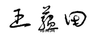 曾庆福王蕴田草书个性签名怎么写