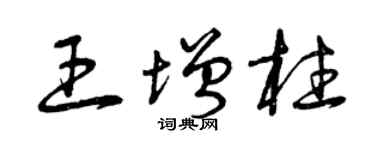 曾庆福王增柱草书个性签名怎么写