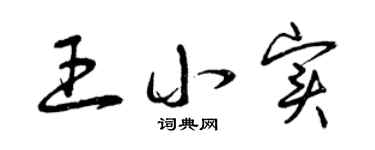 曾庆福王小实草书个性签名怎么写