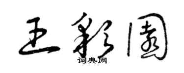 曾庆福王彩园草书个性签名怎么写