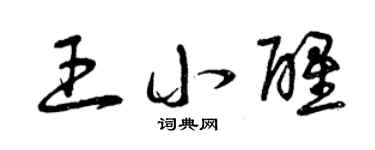 曾庆福王小醒草书个性签名怎么写