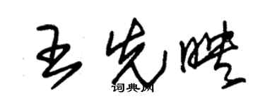 朱锡荣王先映草书个性签名怎么写