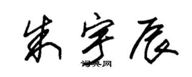 朱锡荣朱宇辰草书个性签名怎么写