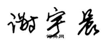 朱锡荣谢宇晨草书个性签名怎么写