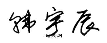 朱锡荣韩宇辰草书个性签名怎么写